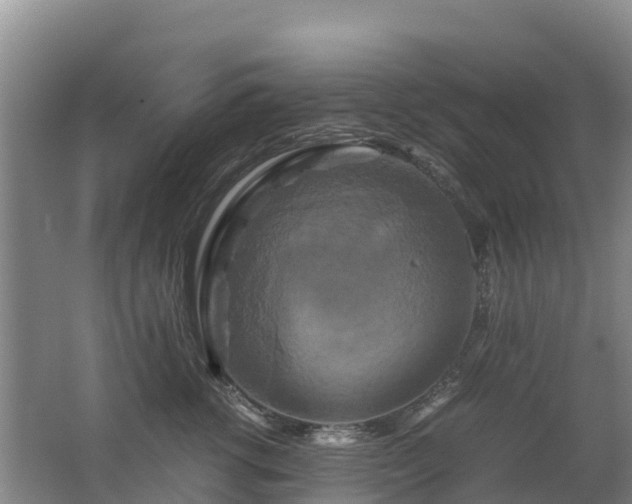 X0000062620762200512230946