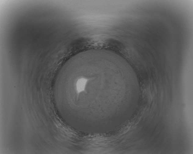 X0000062620769200512230945