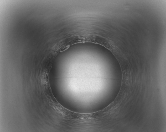 X0000062620770200512230945