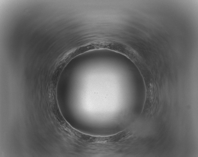 X0000062620773200512230945