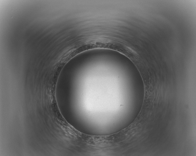 X0000062620774200512230945