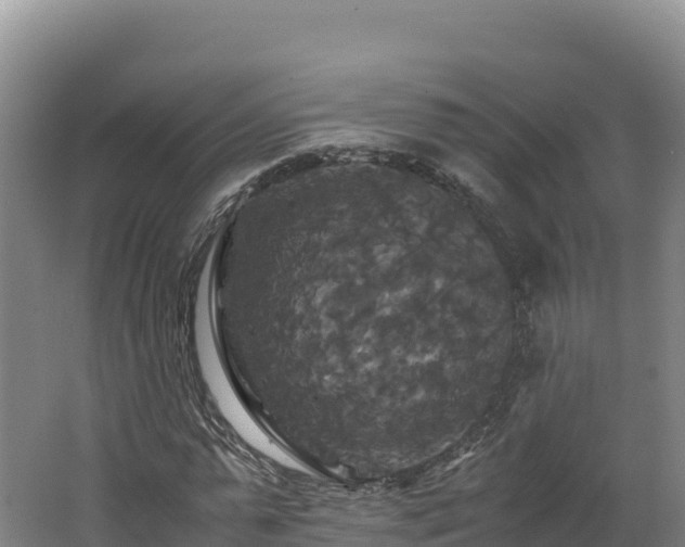 X0000062620775200512230945