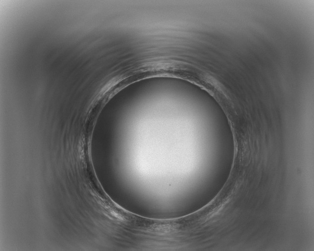 X0000062620778200512230945