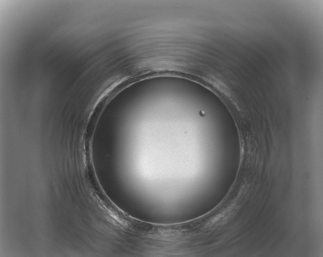 X0000062620782200512230945