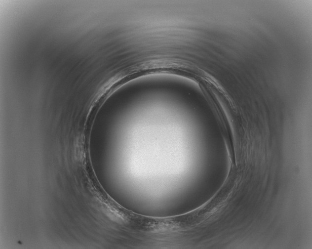 X0000062620786200512230945