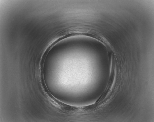X0000062620787200512230945