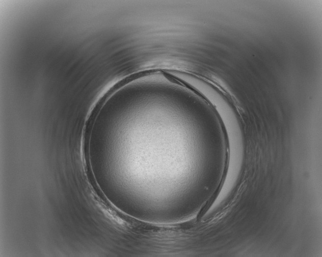 X0000062620788200512230945