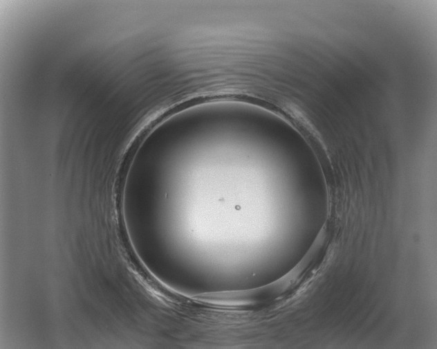 X0000062620789200512230945