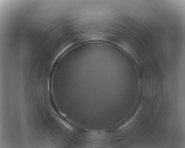 X0000062620790200512230945
