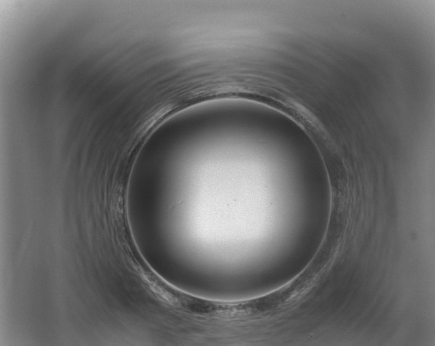 X0000062620793200512230945