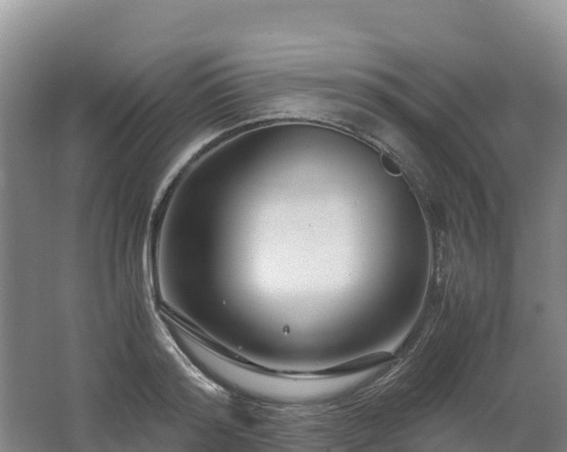 X0000062620796200512230945