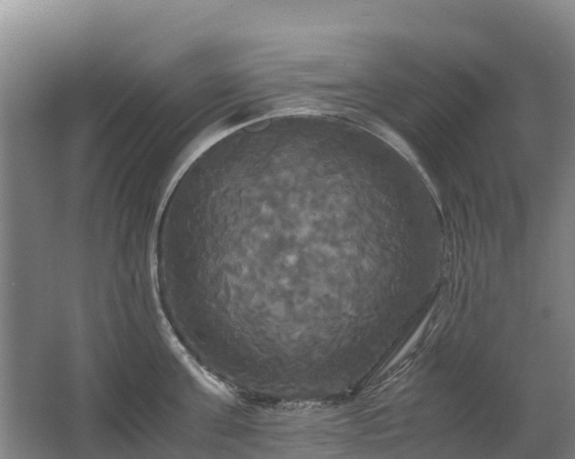 X0000062620811200512230945