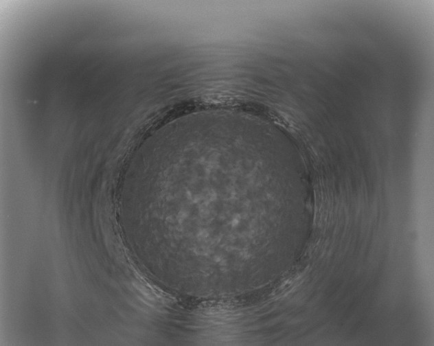 X0000062620817200512230944