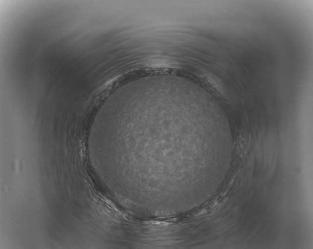 X0000062620821200512230944