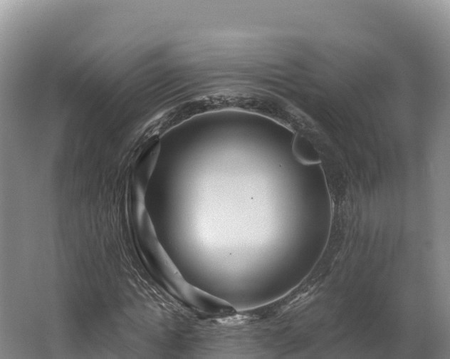 X0000062620822200512230944