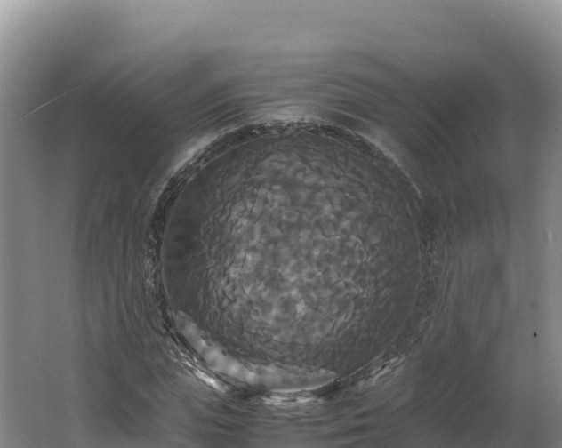 X0000062620823200512230944