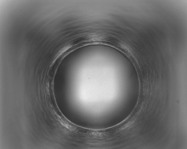 X0000062620827200512230944