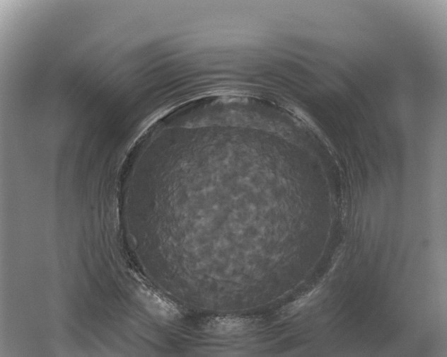 X0000062620829200512230944