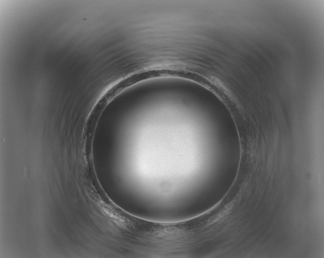 X0000062620830200512230944