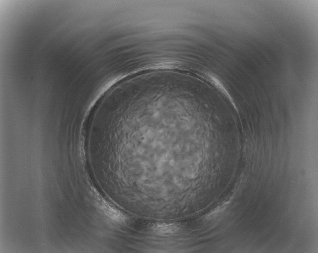X0000062620835200512230944