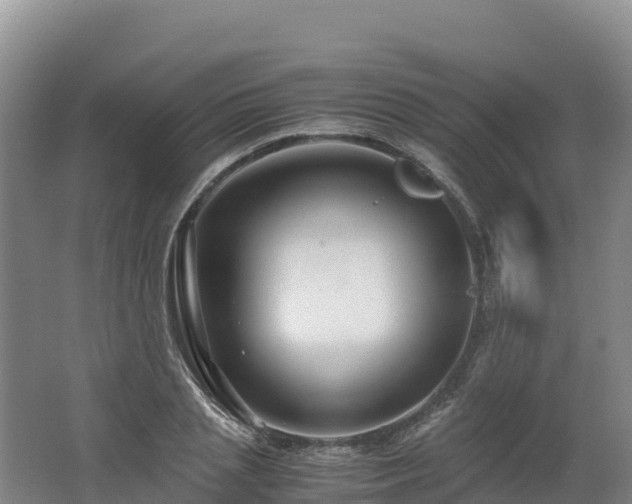 X0000062620837200512230944