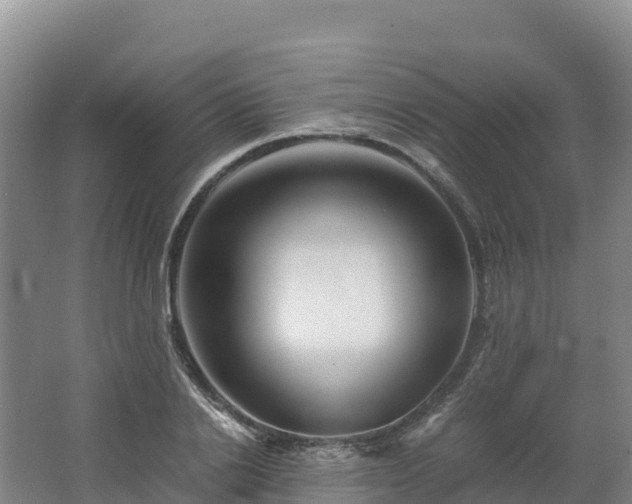 X0000062620838200512230944