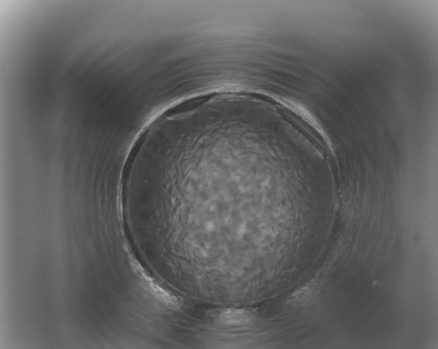 X0000062620839200512230944