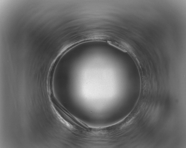 X0000062620843200512230944