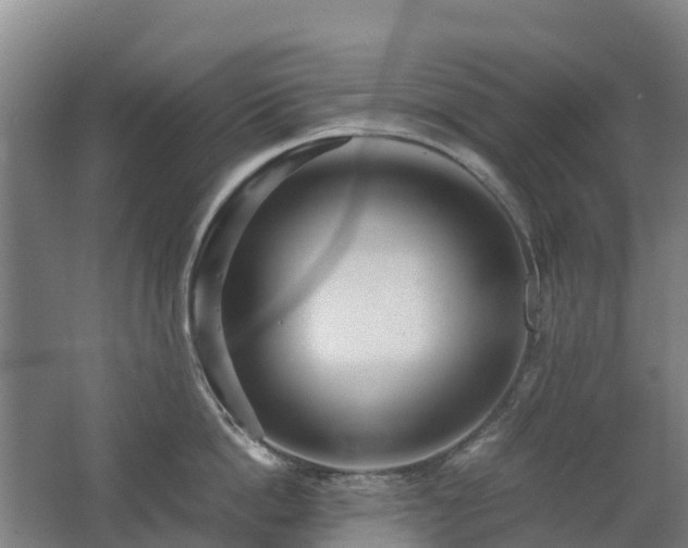 X0000062620862200512230945