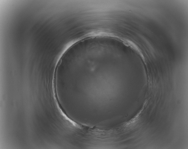 X0000062620863200512230945