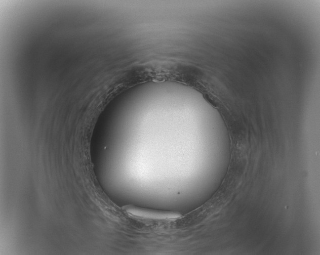 X0000062620865200512230944