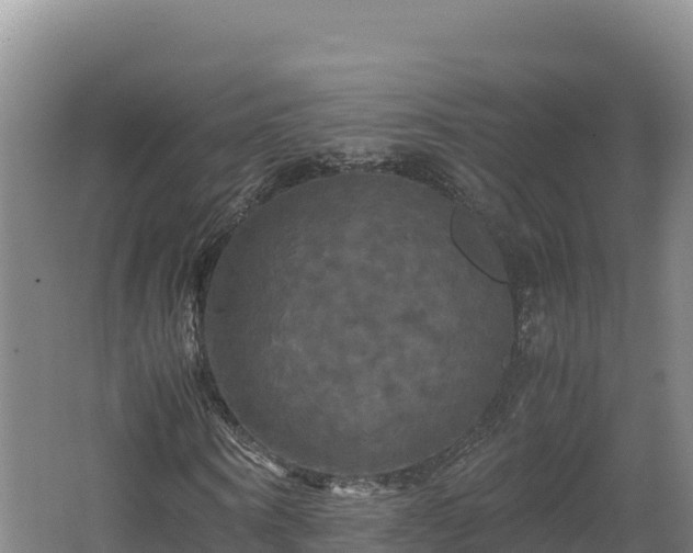 X0000062620866200512230944
