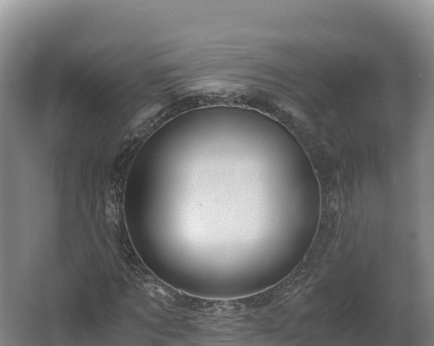 X0000062620869200512230944
