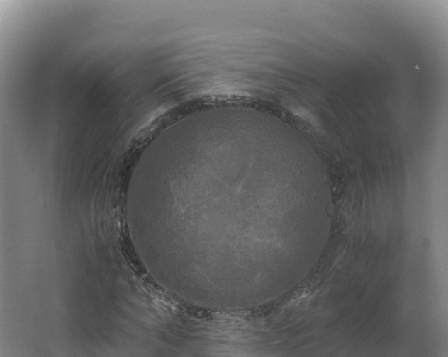 X0000062620870200512230944