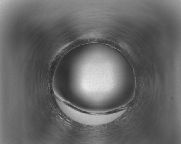 X0000062620872200512230944