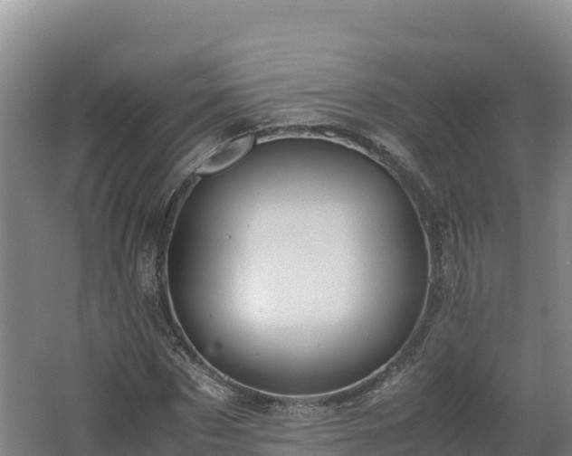 X0000062620873200512230944