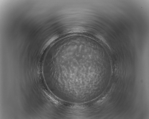 X0000062620874200512230944