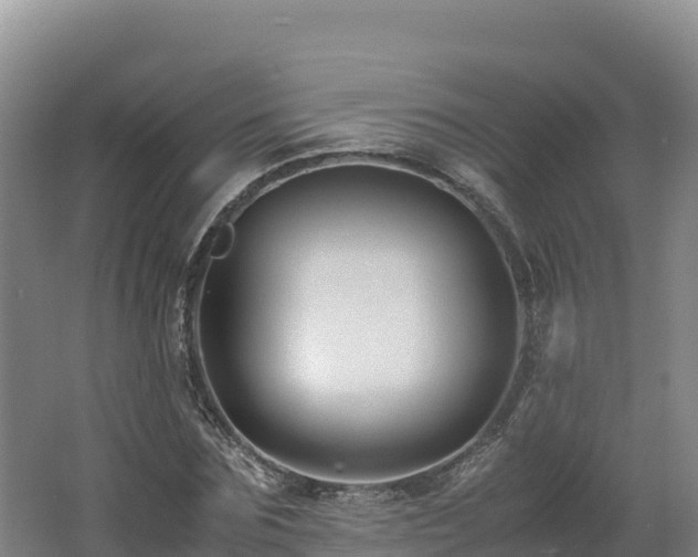 X0000062620875200512230944