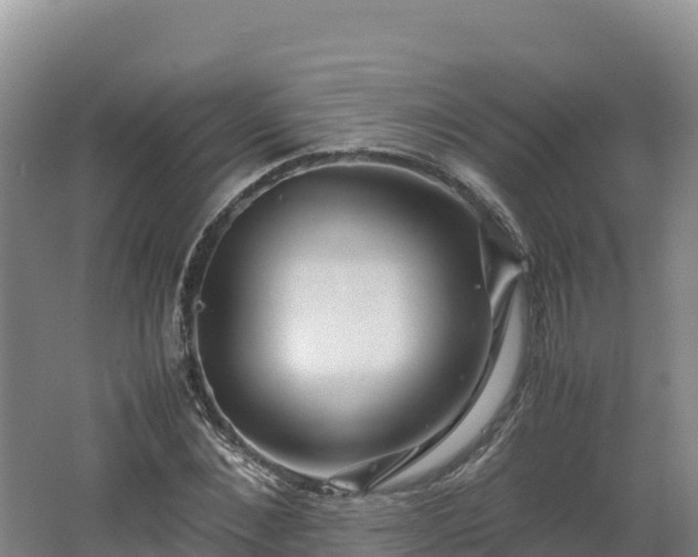 X0000062620876200512230944