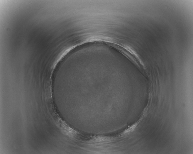 X0000062620877200512230944