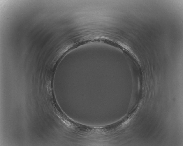 X0000062620881200512230944