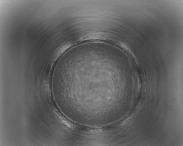 X0000062620882200512230943