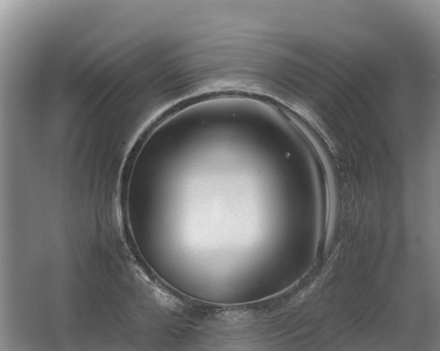 X0000062620888200512230943