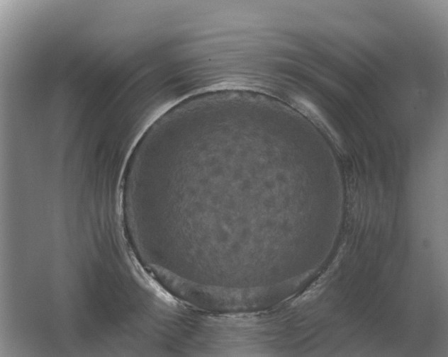 X0000062620900200512230943