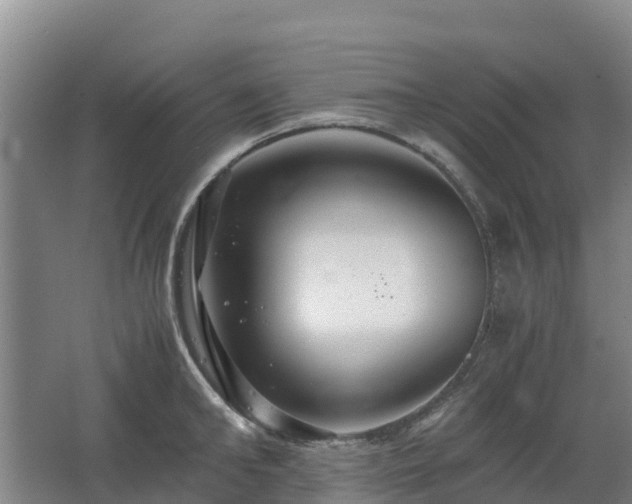 X0000062620902200512230943