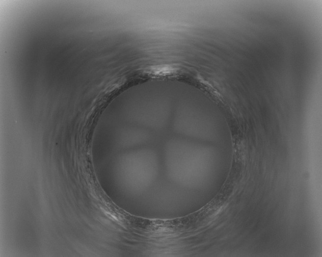 X0000062620913200512230942