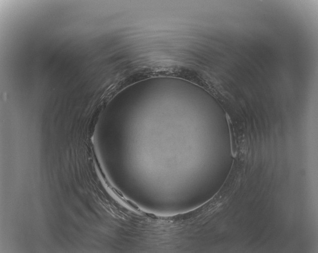 X0000062620916200512230942