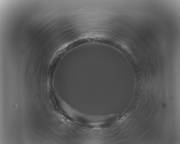 X0000062620920200512230942