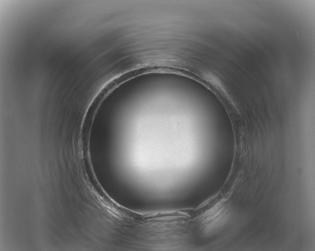 X0000062620924200512230942