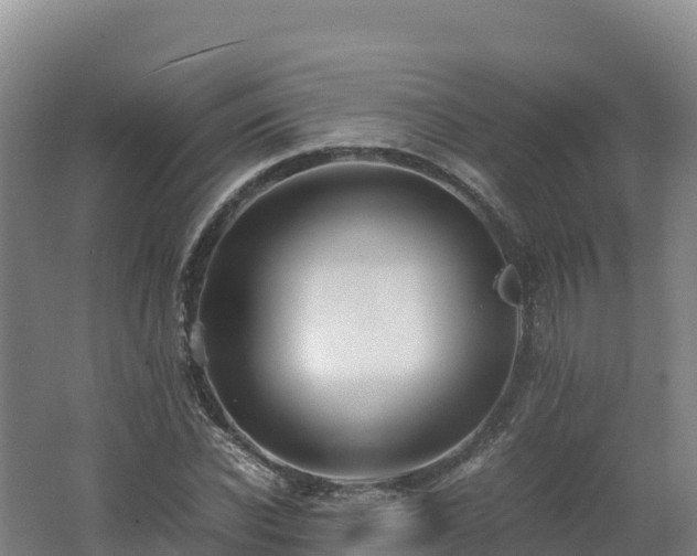 X0000062620926200512230942